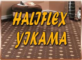 yerinde halı yıkama